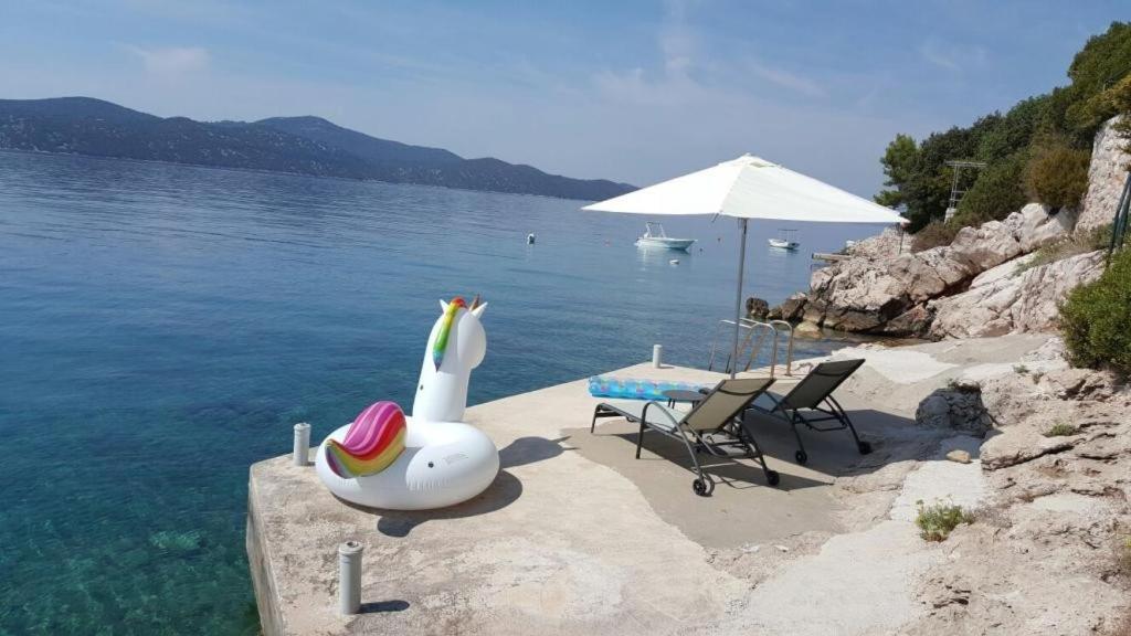 Holiday Home Odiseja Слано Экстерьер фото